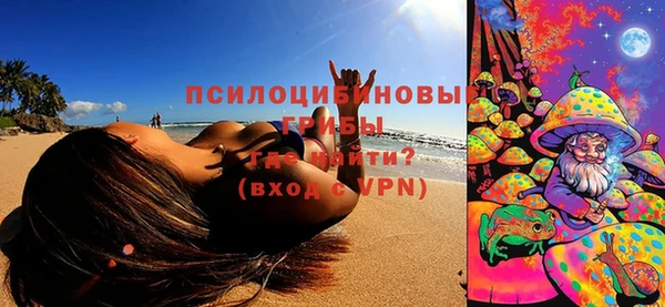прущий лед Козловка