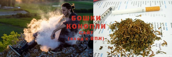 прущий лед Козловка